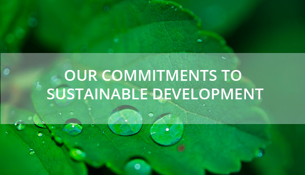 Sustainable development report . It opens in new window